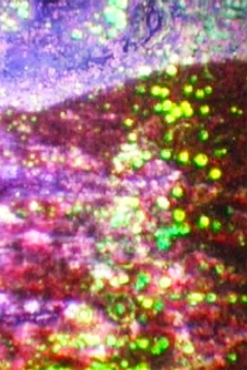 Optical Action movie poster