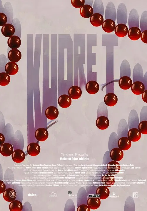 Kudret movie poster