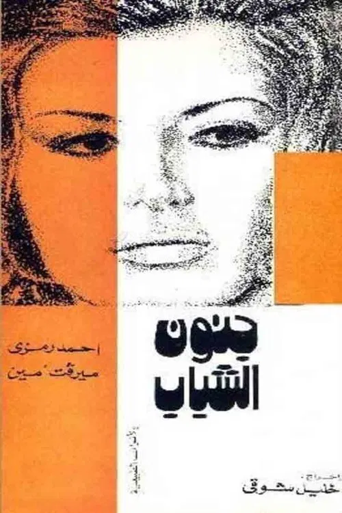 Madness of Youth movie poster