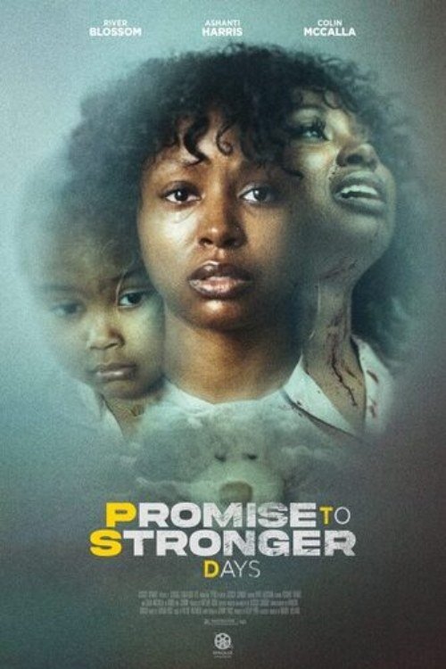 Promise to Stronger Days movie poster