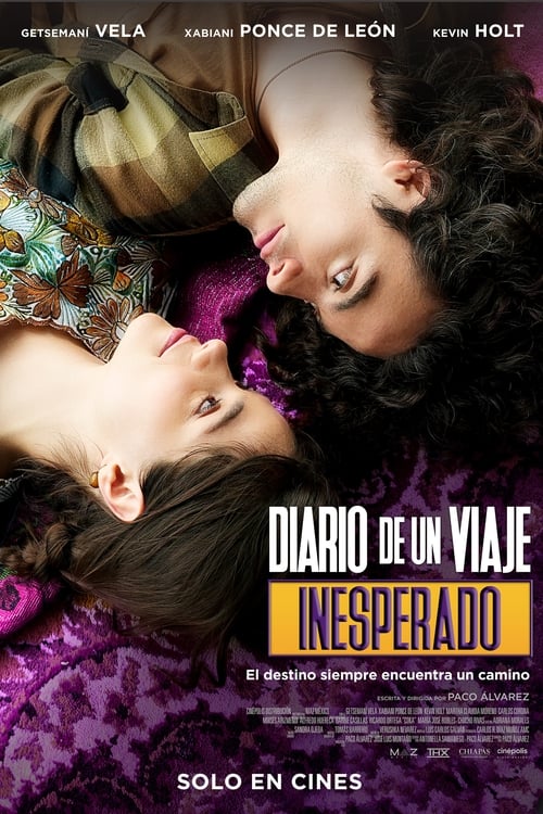 Diary of an Unexpected Journey movie poster
