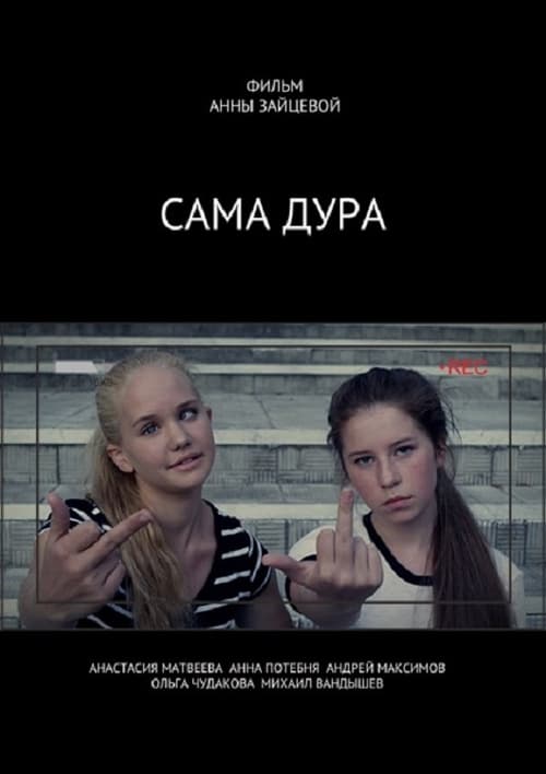 Poster do filme No, You're Stupid