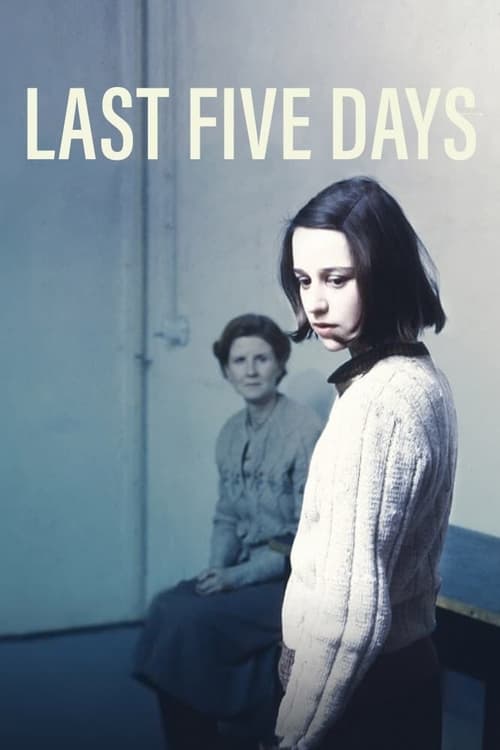 Poster do filme Last Five Days