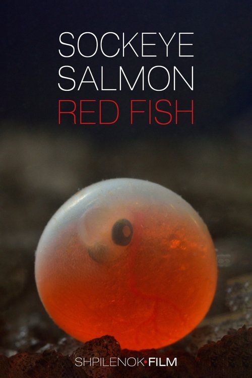 Sockeye Salmon. Red Fish movie poster