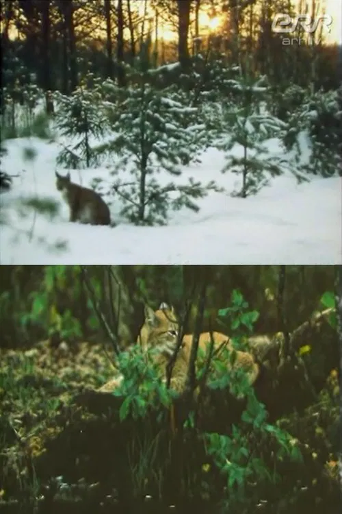 The Story of Ilves movie poster