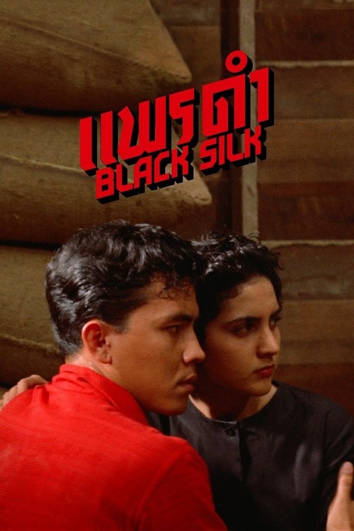 Black Silk movie poster
