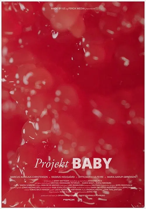 Project Baby movie poster