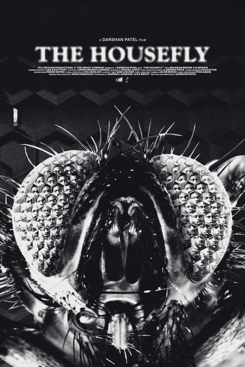 The Housefly movie poster