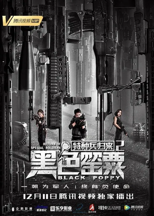 Poster do filme Special Forces Return 2