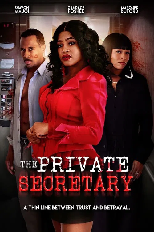 The Private Secretary movie poster