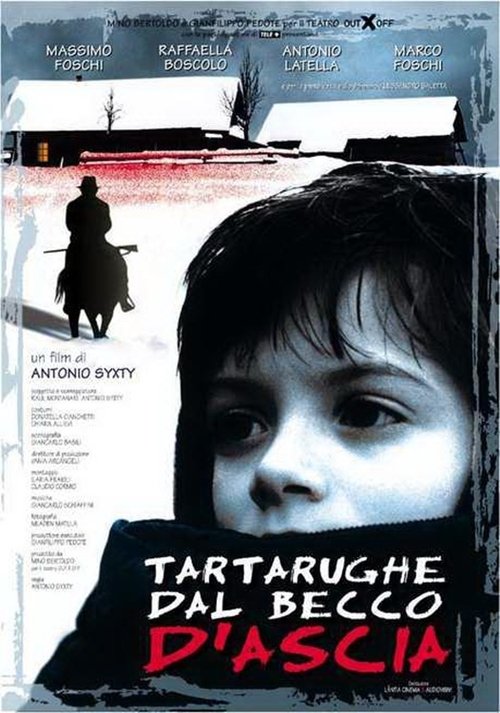 Tartarughe dal becco d'ascia movie poster