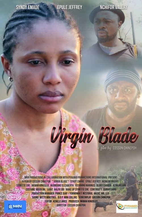 Poster do filme Virgin Blade