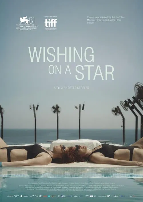 Wishing on a Star movie poster