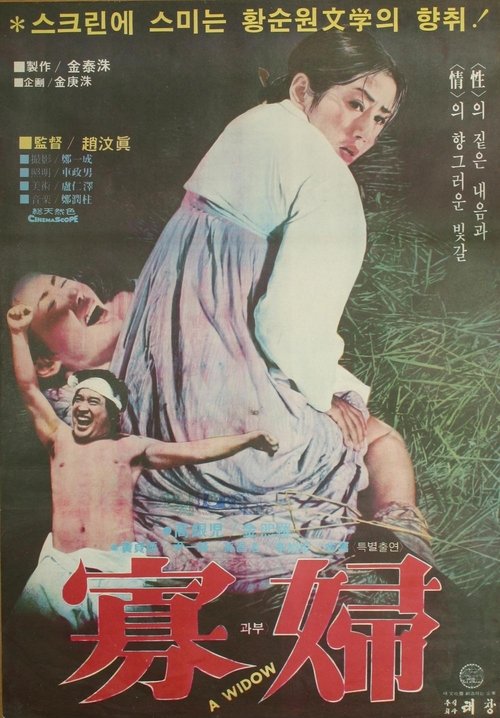 Poster do filme A Widow