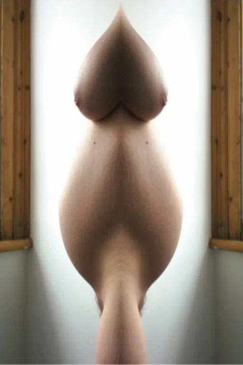 Poster do filme Pregnant Pussy Mash Up
