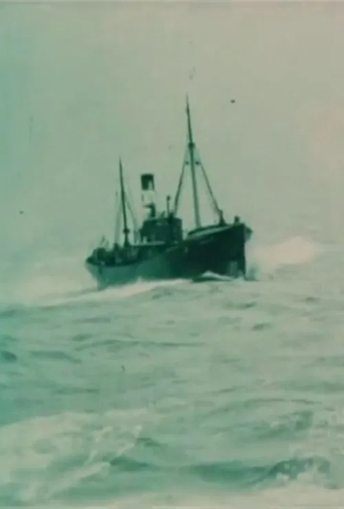 A Trip to the White Sea Fisheries movie poster