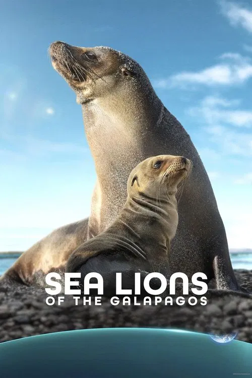 Sea Lions of the Galapagos movie poster