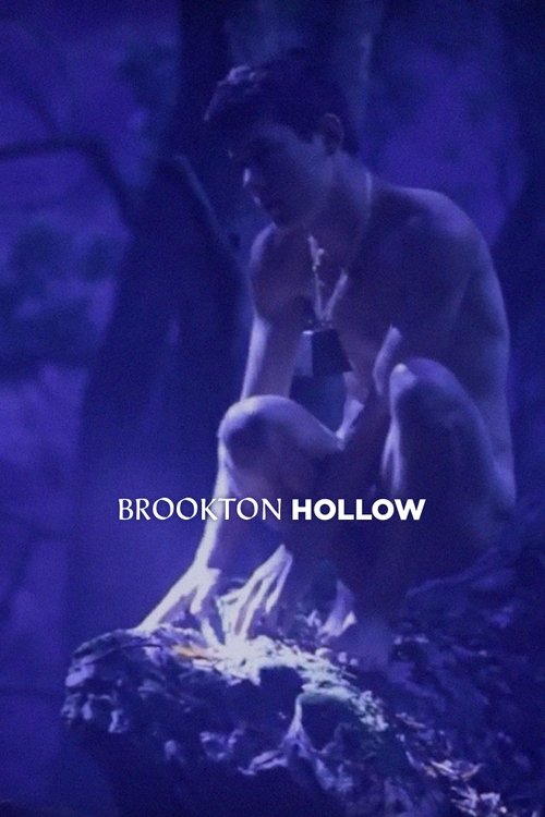 Poster do filme Brookton Hollow