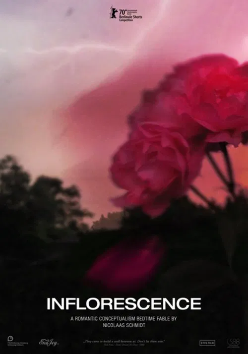 Inflorescence movie poster