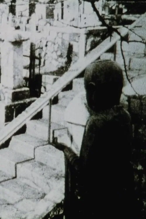 Jane's Window movie poster