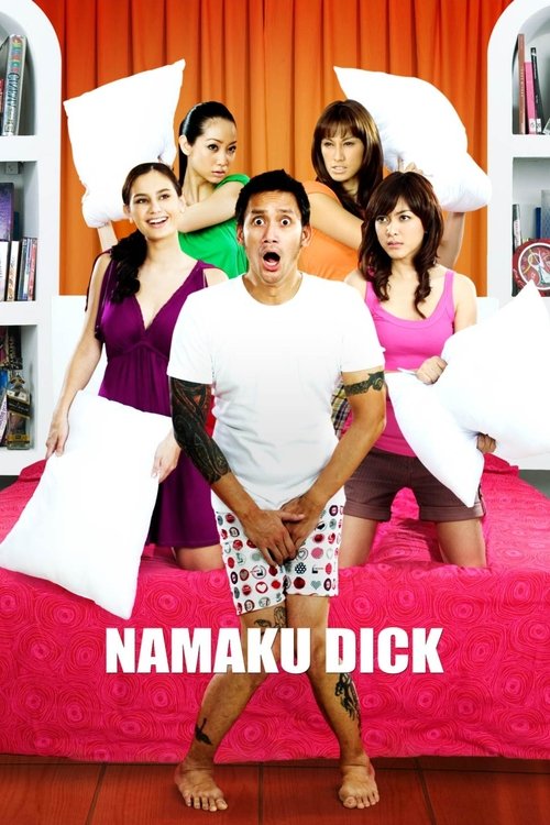 My Name is Dick movie poster