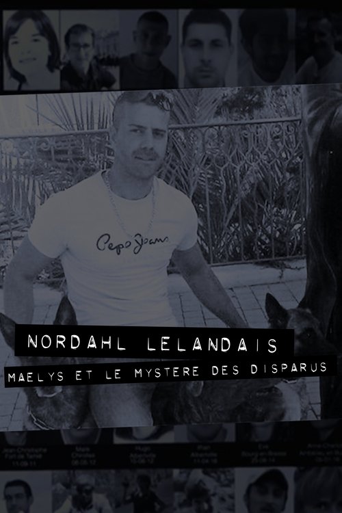 Dans la tête de Nordahl Lelandais movie poster