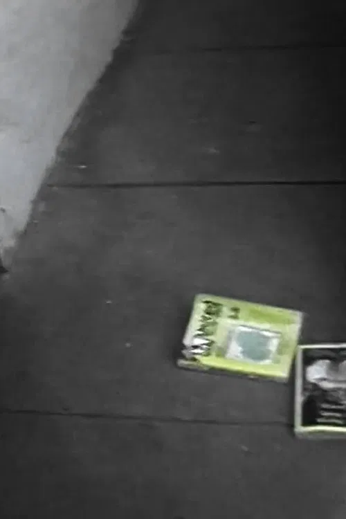 Audio and Visual Experiment 15 movie poster