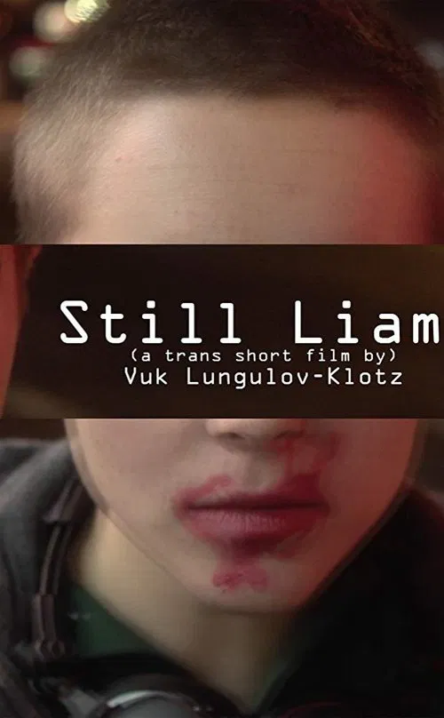 Still Liam movie poster