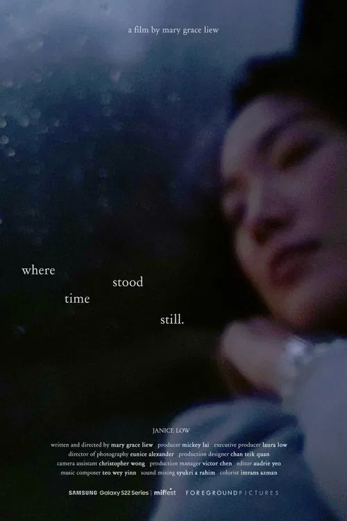 Poster do filme where time stood still