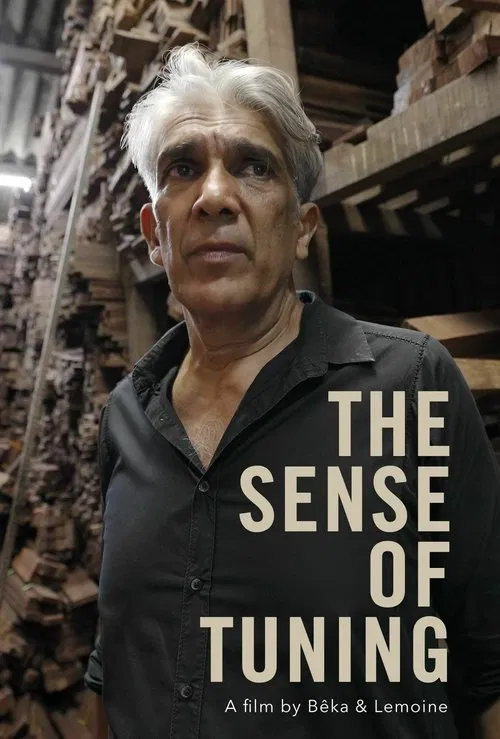 The Sense of Tuning movie poster