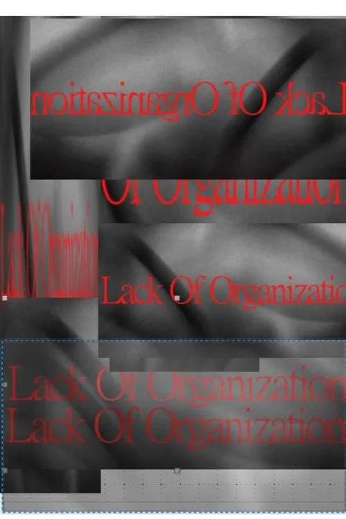 Poster do filme Lack of Organization
