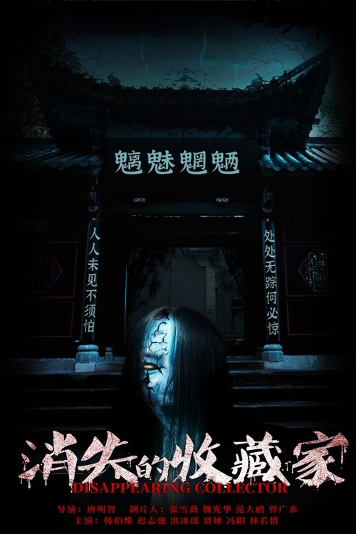 Disappearing Collector movie poster