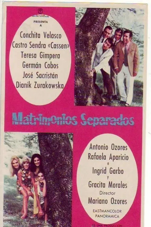 Poster do filme Matrimonios separados