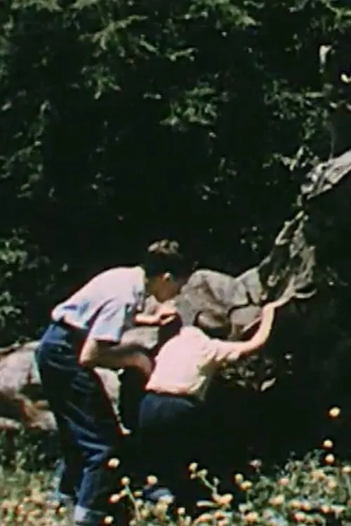 Life On a Dead Tree movie poster