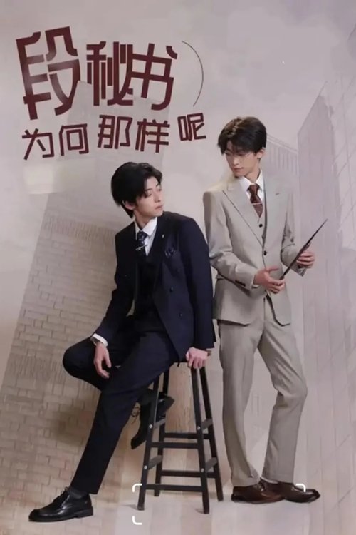 What's Wrong With Secretary Duan? tv show poster