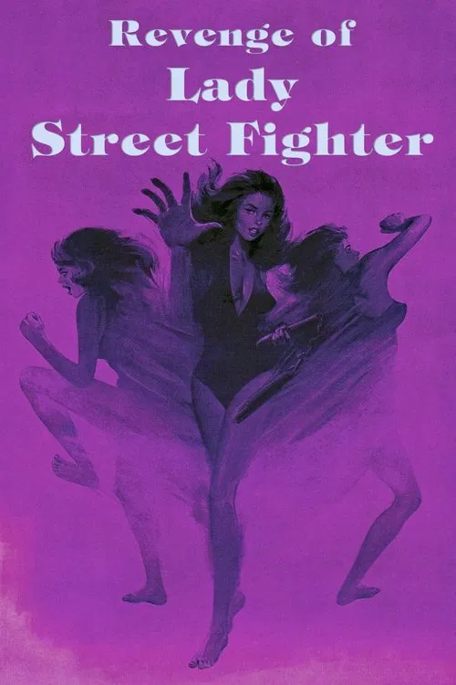 Revenge of Lady Street Fighter movie poster