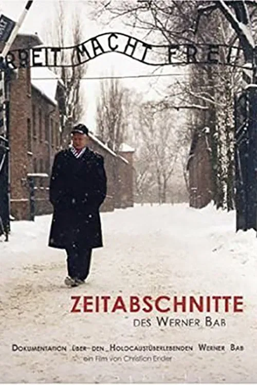 Time Intervals of Werner Bab movie poster