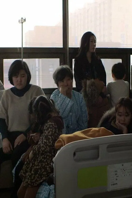 Birds Fly Back to the Nest movie poster