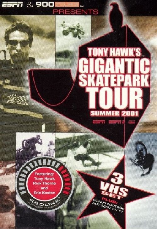 Tony Hawk's Gigantic Skatepark Tour 2001 movie poster