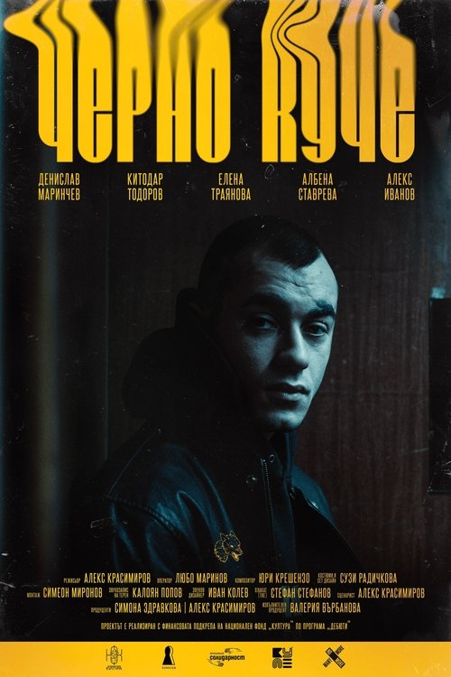 Black Dog movie poster