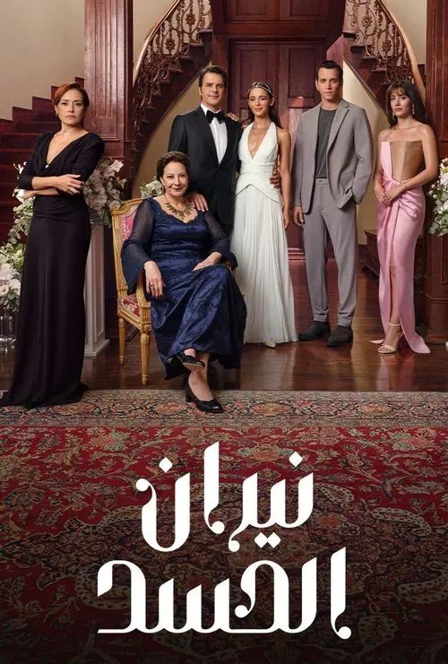 Envy tv show poster