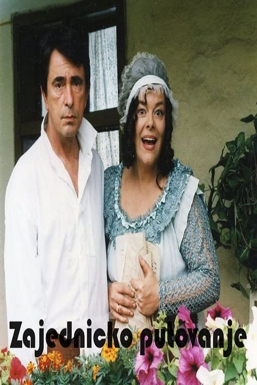 A Joint Journey movie poster
