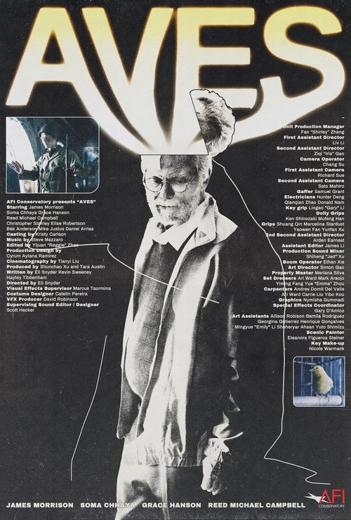Aves movie poster