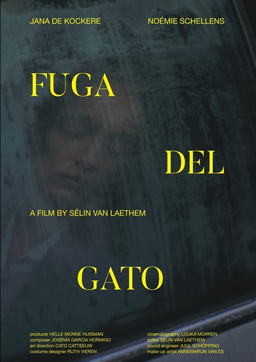 Fuga Del Gato movie poster