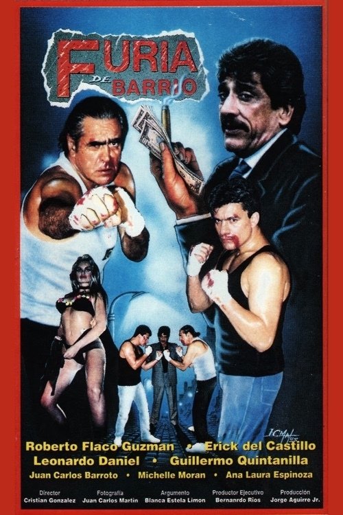 Furia de barrio movie poster