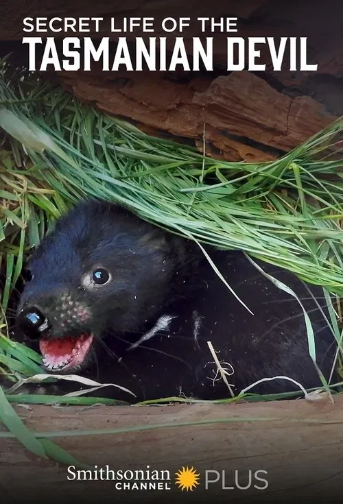 Secret Life Of The Tasmanian Devil tv show poster