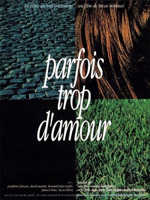 Parfois trop d'amour movie poster