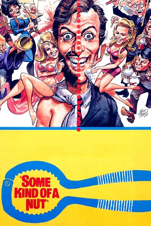 Some Kind of a Nut movie poster