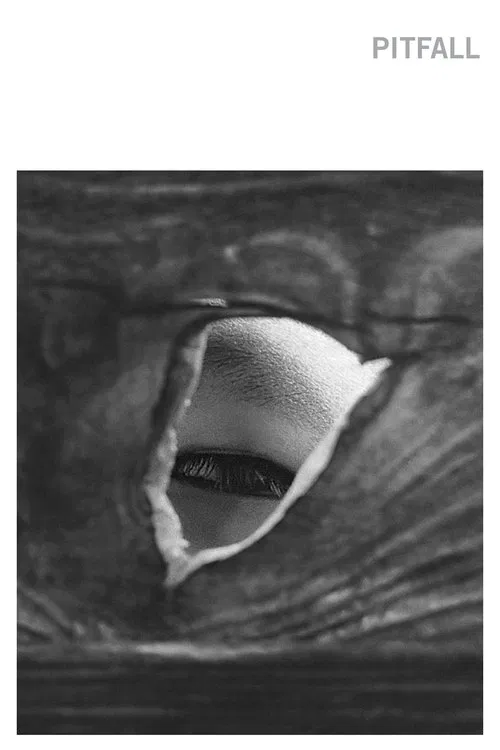 Pitfall movie poster