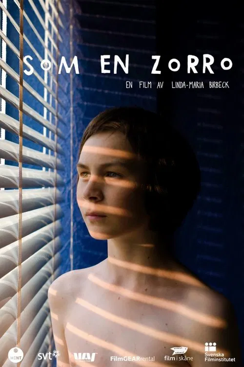 Just Like Zorro movie poster